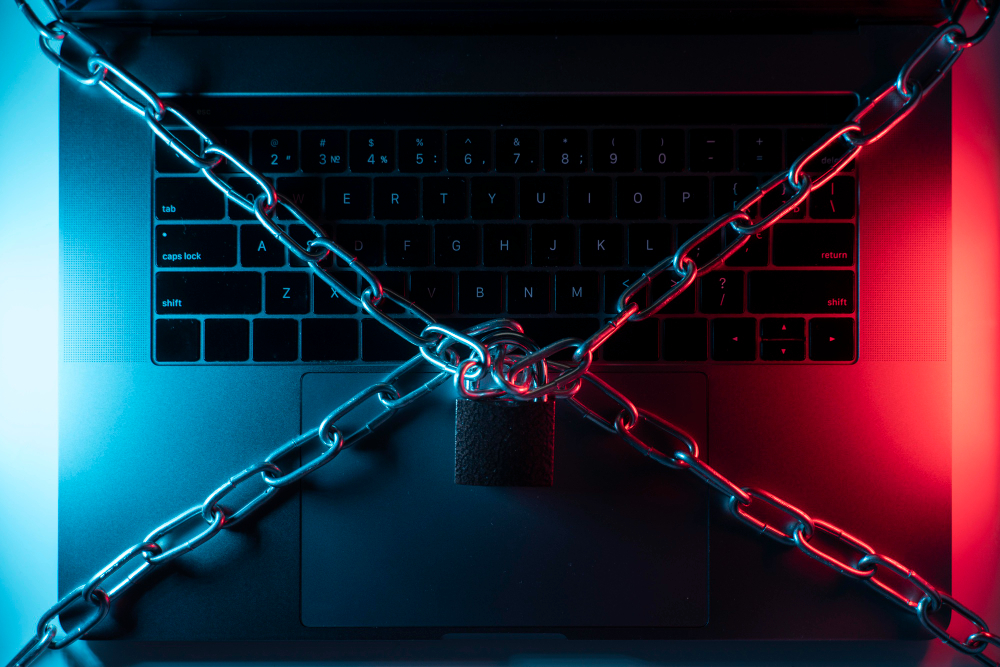 Cyberspace und Phishing - Bedrohung im Internet